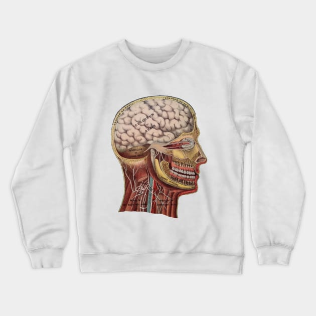 Vintage Human Head Anatomy Crewneck Sweatshirt by missdebi27